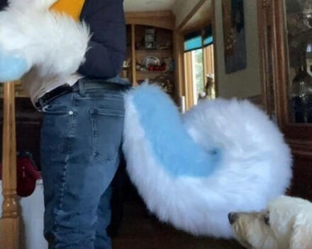 Curly Tail v2