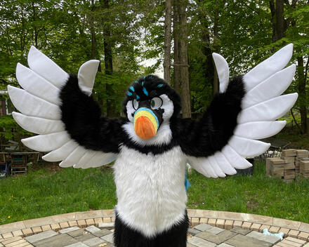 Bird Wingarms